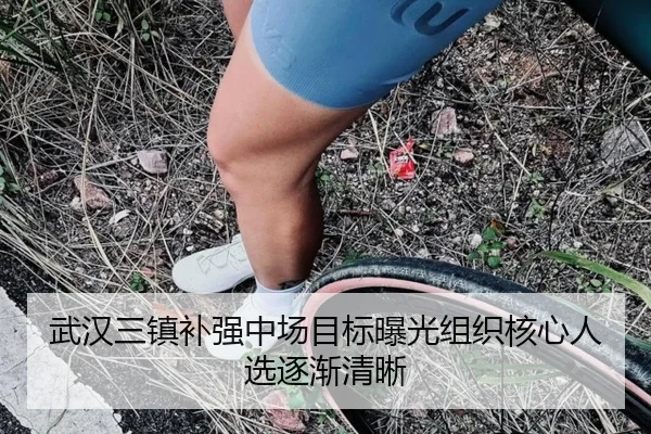 武汉三镇补强中场目标曝光组织核心人选逐渐清晰