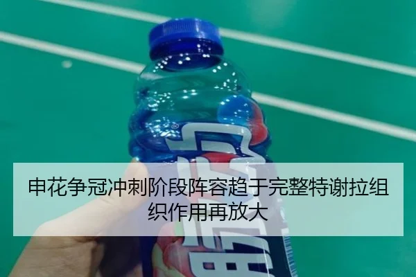申花争冠冲刺阶段阵容趋于完整特谢拉组织作用再放大